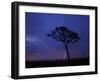 Lightning Flashes on Savanna, Masai Mara Game Reserve, Kenya-Paul Souders-Framed Photographic Print