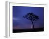 Lightning Flashes on Savanna, Masai Mara Game Reserve, Kenya-Paul Souders-Framed Photographic Print