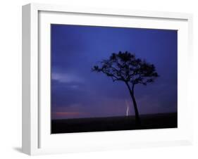 Lightning Flashes on Savanna, Masai Mara Game Reserve, Kenya-Paul Souders-Framed Photographic Print