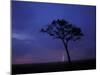 Lightning Flashes on Savanna, Masai Mara Game Reserve, Kenya-Paul Souders-Mounted Photographic Print