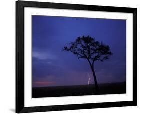 Lightning Flashes on Savanna, Masai Mara Game Reserve, Kenya-Paul Souders-Framed Photographic Print