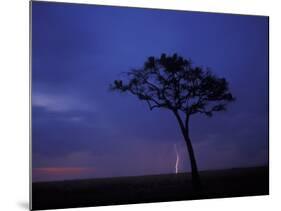 Lightning Flashes on Savanna, Masai Mara Game Reserve, Kenya-Paul Souders-Mounted Photographic Print