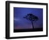 Lightning Flashes on Savanna, Masai Mara Game Reserve, Kenya-Paul Souders-Framed Photographic Print