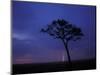 Lightning Flashes on Savanna, Masai Mara Game Reserve, Kenya-Paul Souders-Mounted Photographic Print