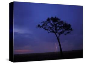 Lightning Flashes on Savanna, Masai Mara Game Reserve, Kenya-Paul Souders-Stretched Canvas