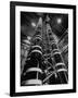 Lightning Maker is This 44 Foot High Generator, Creating Artificial Lightning-Andreas Feininger-Framed Photographic Print