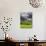 Lightning over Ruins of the Rock of Cashel, Tipperary County, Ireland-Jaynes Gallery-Photographic Print displayed on a wall