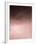 Lightning Pink-Design Fabrikken-Framed Photographic Print