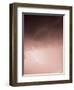 Lightning Pink-Design Fabrikken-Framed Photographic Print