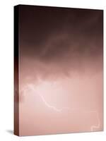 Lightning Pink-Design Fabrikken-Stretched Canvas