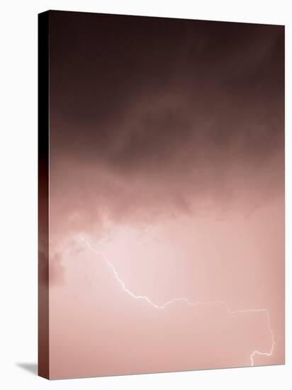 Lightning Pink-Design Fabrikken-Stretched Canvas