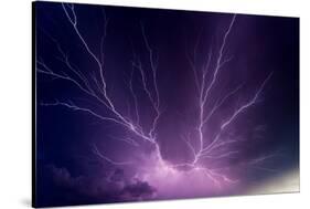 Lightning Storm-Minerva Studio-Stretched Canvas