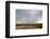 Lightning strike in rural Richland County, Montana, USA-Chuck Haney-Framed Photographic Print