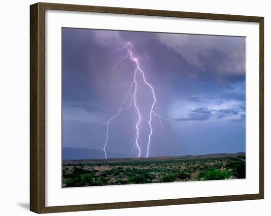 Lightning Strike near Tucson-null-Framed Photographic Print