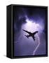 Lightning Strike on Aircraft-null-Framed Stretched Canvas