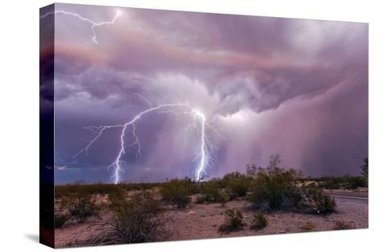 Stretched Canvas Print, , large