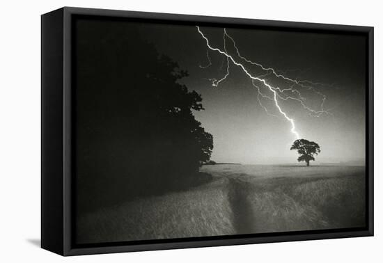 Lightning Striking a Tree-null-Framed Stretched Canvas