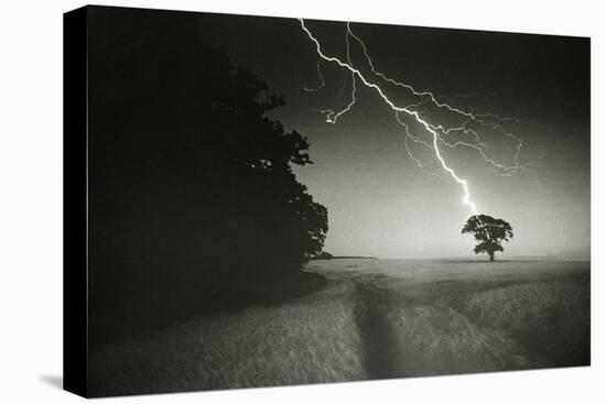 Lightning Striking a Tree-null-Stretched Canvas