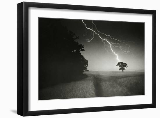 Lightning Striking a Tree-null-Framed Photographic Print