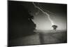 Lightning Striking a Tree-null-Mounted Photographic Print