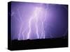 Lightning Striking the Ground-Warren Faidley-Stretched Canvas