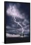 Lightning Striking Tree II-null-Framed Poster