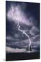 Lightning Striking Tree II-null-Mounted Poster