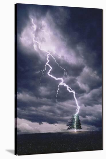 Lightning Striking Tree II-null-Stretched Canvas