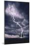 Lightning Striking Tree II-null-Mounted Art Print