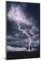 Lightning Striking Tree II-null-Mounted Art Print