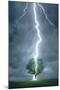 Lightning Striking Tree-null-Mounted Premium Giclee Print