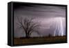 Lightning-Wayne Bradbury-Framed Stretched Canvas