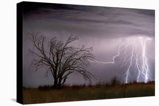 Lightning-Wayne Bradbury-Stretched Canvas