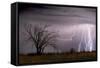 Lightning-Wayne Bradbury-Framed Stretched Canvas