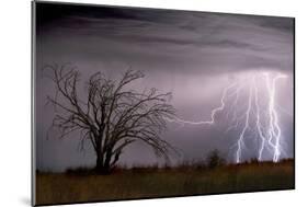 Lightning-Wayne Bradbury-Mounted Photographic Print
