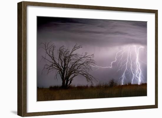 Lightning-Wayne Bradbury-Framed Photographic Print