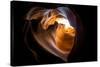 Lights and shadows in Upper Antelope Canyon, Navajo Tribal Park, Arizona, United States of America,-Francesco Vaninetti-Stretched Canvas