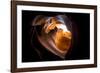 Lights and shadows in Upper Antelope Canyon, Navajo Tribal Park, Arizona, United States of America,-Francesco Vaninetti-Framed Photographic Print