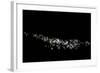 Lights at night in a city of Argentina-null-Framed Photographic Print