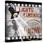 Lights! Camera! Action!-Conrad Knutsen-Stretched Canvas