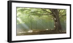 Lights-Toni Vila-Framed Giclee Print