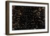 Lightspeed Traveling-Blaz Kure-Framed Photographic Print