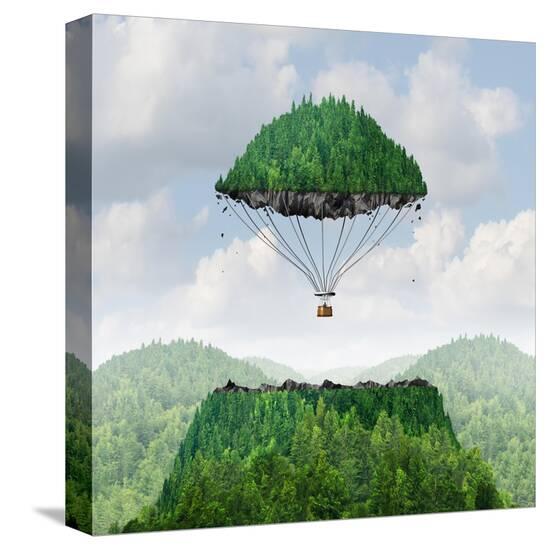 Stretched Canvas Print, , large