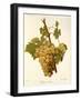 Lignan Blanc Grape-A. Kreyder-Framed Giclee Print