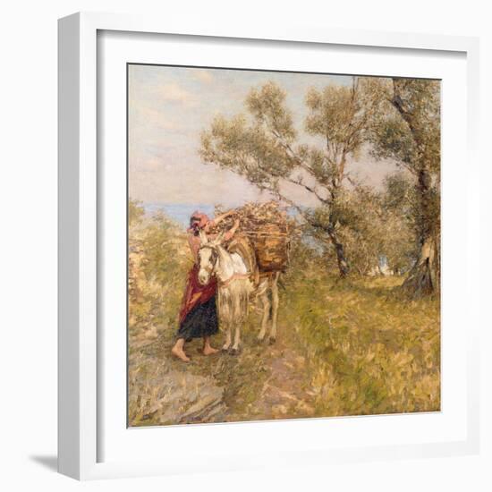 Ligurian Olives-Henry Herbert La Thangue-Framed Giclee Print