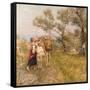 Ligurian Olives-Henry Herbert La Thangue-Framed Stretched Canvas