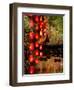 Lijiang, Yunnan Province, China-Pete Oxford-Framed Photographic Print