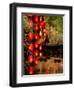 Lijiang, Yunnan Province, China-Pete Oxford-Framed Photographic Print