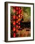 Lijiang, Yunnan Province, China-Pete Oxford-Framed Photographic Print