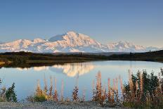 Denali Mountain and Reflection Pond-lijuan-Stretched Canvas